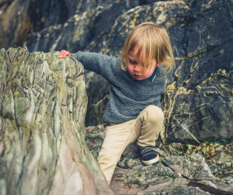 Der Affe in mir- Gruppensicherheit