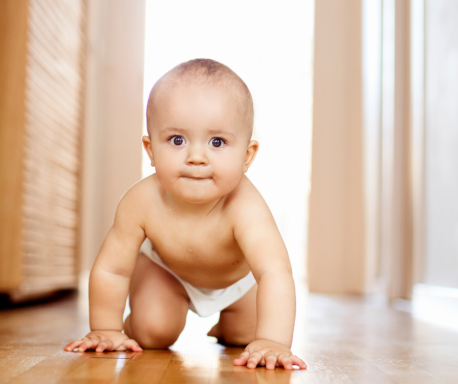 Das Säugetier in mir - Gefühlssicherheit